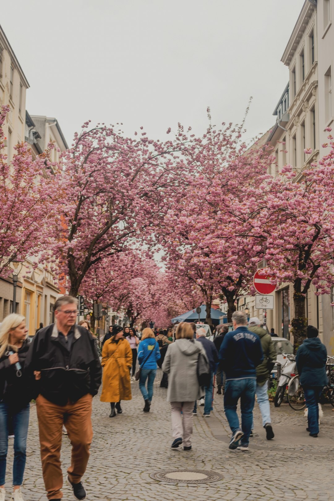 diverse people in german city